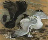 Untitled by Charles Frederick Tunnicliffe, watercolour & pencil, sold Nov 2024