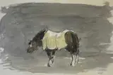 Pony with Blanket by Kyffin Williams, watercolour, sold Nov 2024