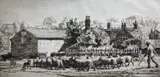 Limited edition by Charles Frederick Tunnicliffe, etching, sold Nov 2024