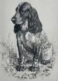 Untitled by Charles Frederick Tunnicliffe, charcoal & bodycolour, sold Nov 2024