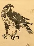 Black and white print - hawk by Kyffin Williams, print, sold Nov 2024