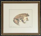 Toad limited edition print by Bella Pieroni, print, offered Aug 2026