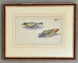 Ornithological study by Eric Ennion, watercolour and ink, offered Jun 2026