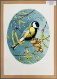 Great Tit by Robin Reckitt, watercolour, offered Jun 2026
