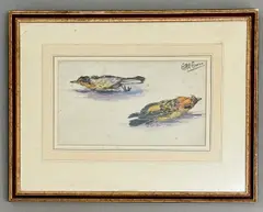 Ornithological study by Eric Ennion, watercolour and ink, offered Jun 2026