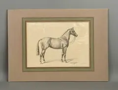 Little Wonder, 1951 Champion by Juliet McLeod, 1951, pencil, sold Jun 2026