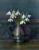 Golderwell Snowdrops by Ann Mumford, watercolour, sold May 2026