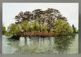 Duck Pond by Covadonga Valdes, oil on board, sold May 2026