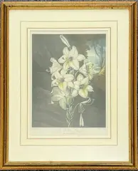 After Peter Charles Henderson by Joseph Constantine Stadler, print (other), sold May 2026