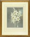 After Peter Charles Henderson by Joseph Constantine Stadler, print (other), sold May 2026