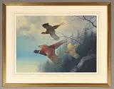 Pheasants in flight by Peter Allis, watercolour, offered Apr 2026