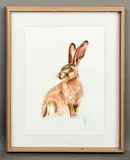 Hare by Jasmine Jennings, watercolour on paper, sold Mar 2026