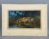Tiger at the water's edge by Cuthbert Edmund Swan, watercolour, sold Mar 2026
