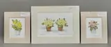 All mounted by Elizabeth Chalmers, watercolor, offered Mar 2026