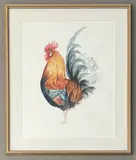 Cockerel by Jasmine Jennings, 2026, watercolour on paper, sold Feb 2026