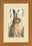 Hare in the Grasses by Eileen Turner, 2011, watercolour, sold Feb 2026