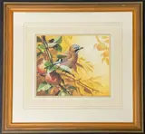 Study of a jay on sunlit apple branch by Adrian C Rigby, watercolour and gouache, offered Jan 2026