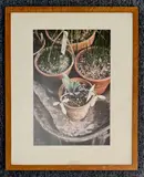 Untitled by Sue Snell, photograph, sold Jan 2026