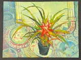 Still life of a Bromeliad by Rita Smith, oil on board, sold Dec 2025