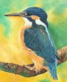 Study of a kingfisher acrylic by Estella Billesdon, acrylic on canvas, offered Dec 2025