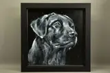 Classic labrador by Jennifer Hogwood, oil on canvas, sold Nov 2021