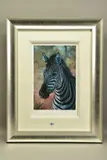 Young zebra by Rolf Harris, print, sold Nov 2021