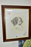 Springer spaniel by John Waterhouse, mixed media on paper, sold Aug 2021
