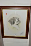 Springer spaniel by John Waterhouse, mixed media on paper, offered Jul 2021