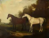 A bay hunter and a grey hunter by John Ferneley Jnr, Oil on canvas, sold Aug 2021