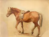 Study of a chestnut horse Oil on paper 23 by Alfred William Strutt, Oil on paper, sold Aug 2021