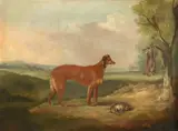 A lurcher in a landscape with hares Signed and dated WH Davis by William Henry Davis, Oil on canvas, offered Aug 2021