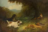 Terriers surprising a fox Signed Armfield by George Armfield, Oil on canvas, sold Aug 2021