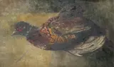 Study of a pheasant Oil by Jacques-Émile Blanche, Oil on canvas, sold Aug 2021