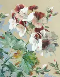 Study of pelargoniums by William Jabez Muckley, gouache, sold Aug 2021