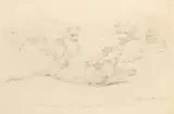 Study of lions playing by William Strutt, pencil and watercolour, sold Aug 2021