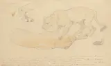 Study of two lionesses by William Strutt, 1889, watercolour and pencil, sold Aug 2021