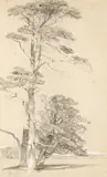 Study of conifers Signed with monogram and dated 45 by Henry Dawson, Pencil heightened with white, offered Aug 2021