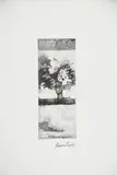Tree in Blossom aquatint on paper stamp by Bernard Leach, print, sold May 2021