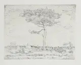 Boats and Tree etching on paper unsigned 28 by Bernard Leach, etching on paper, sold May 2021
