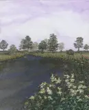Bluebell Woods by Bev Morgan, pencil, sold May 2021