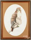 of a hawk by J. Randy Rowe, watercolor, sold Feb 2023