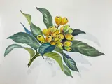 Untitled by Mary Powell, Watercolor, sold Nov 2021