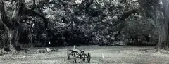 Untitled by Michael Smith, Photograph, sold Feb 2022