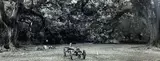Untitled by Michael Smith, Photograph, sold Feb 2022