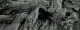 Untitled by Michael Smith, Photograph, sold Feb 2022