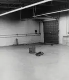 Untitled by William Wegman, ink on photograph, sold Dec 2020