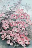 Flowering Dogwood (Córnus Flòrida) by Ellis Rowan, watercolour and gouache on paper, sold Apr 2019