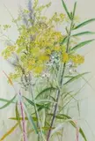 Goldenrod And Grasses by Ellis Rowan, watercolour and gouache on paper, sold Nov 2018