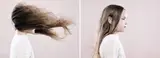 ZARA 1 and ZARA 2 by Petrina Hicks, 2005, Edition: edition of 8, offered Nov 2018