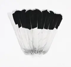Fan Tail Iii by Jonathan Delafield Cook, 2006, charcoal on paper, offered Aug 2018